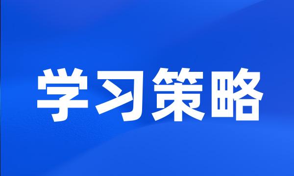 学习策略