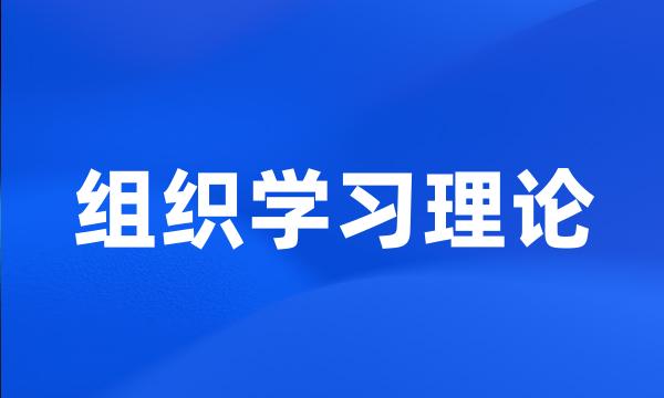 组织学习理论