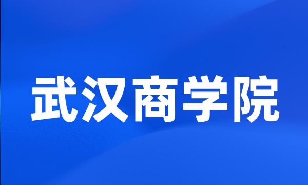 武汉商学院