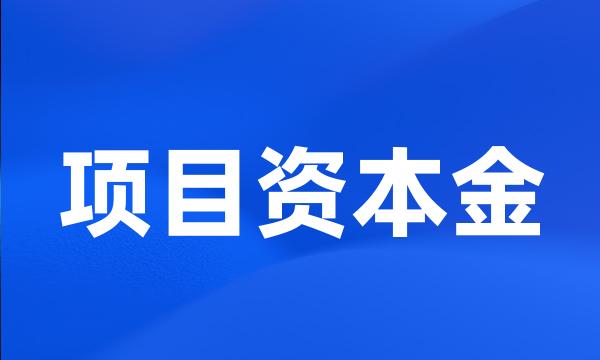 项目资本金