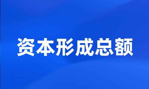 资本形成总额