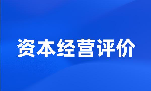 资本经营评价