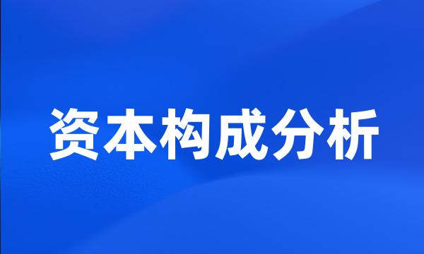 资本构成分析