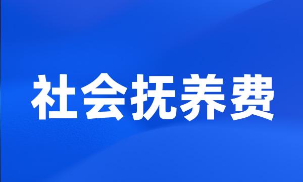 社会抚养费