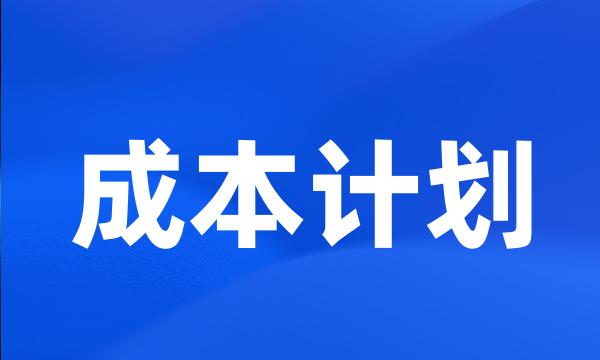 成本计划