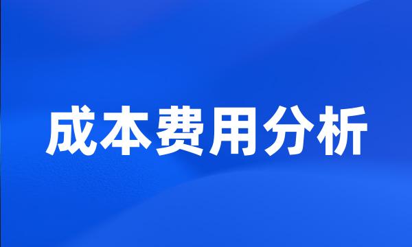 成本费用分析