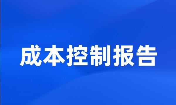 成本控制报告