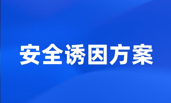 安全诱因方案