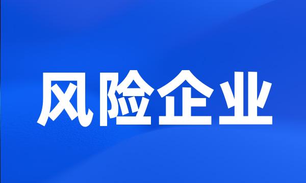 风险企业