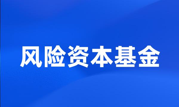 风险资本基金