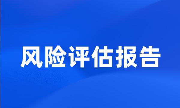 风险评估报告