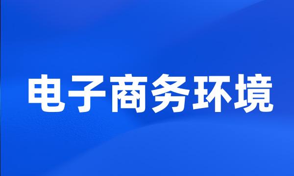 电子商务环境