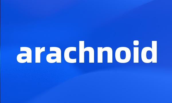 arachnoid