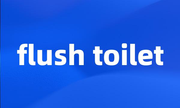 flush toilet