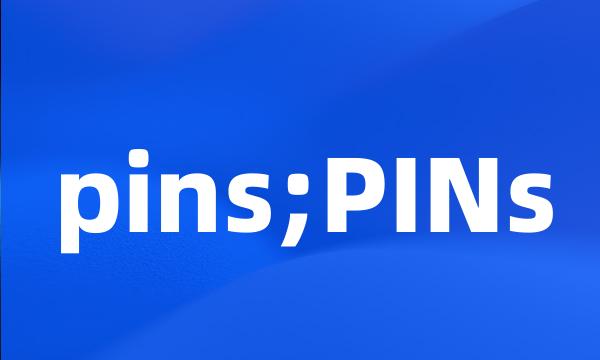 pins;PINs