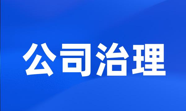 公司治理