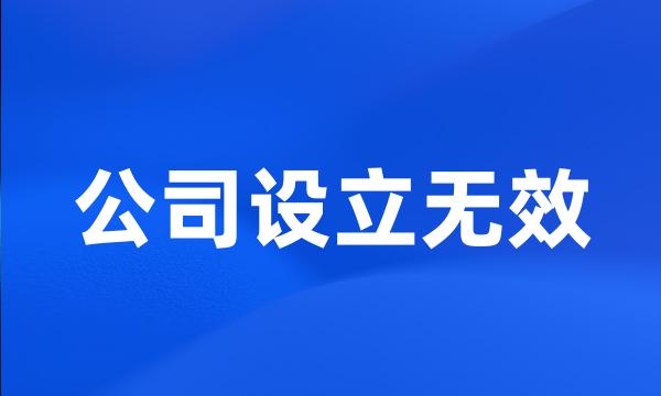 公司设立无效