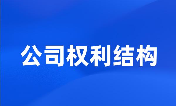 公司权利结构