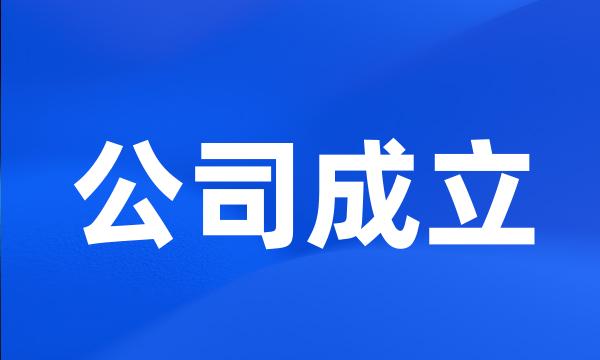 公司成立