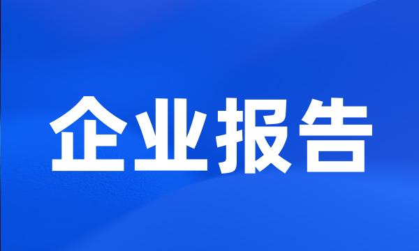 企业报告