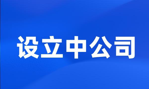 设立中公司