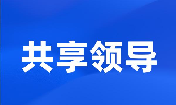 共享领导