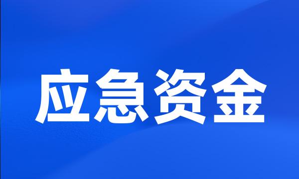 应急资金