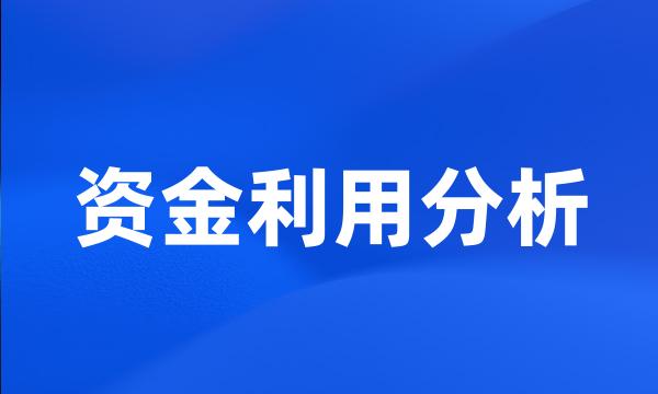 资金利用分析