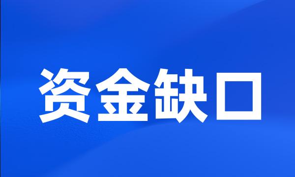 资金缺口