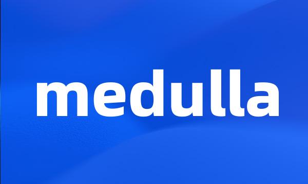 medulla