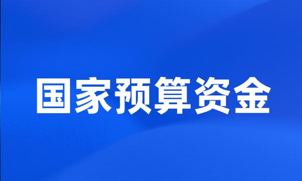 国家预算资金