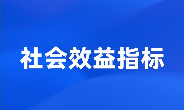 社会效益指标