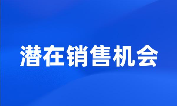 潜在销售机会