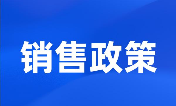 销售政策