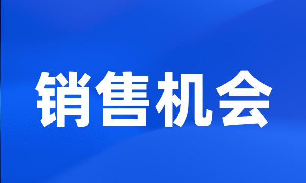 销售机会