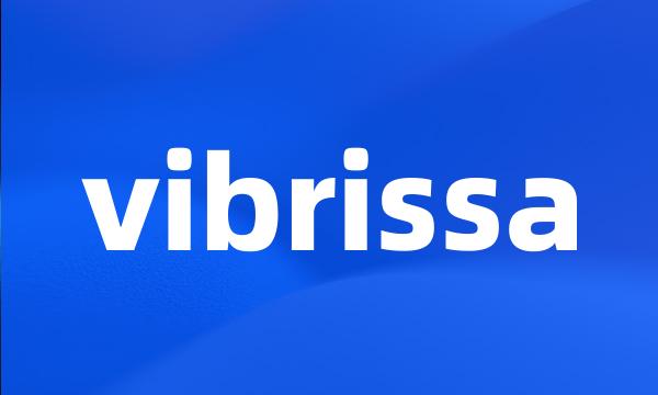 vibrissa