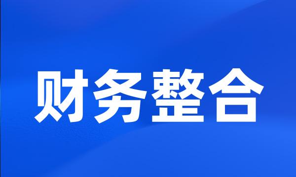 财务整合