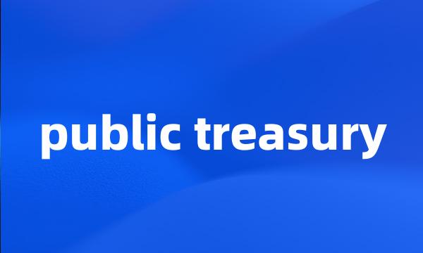 public treasury