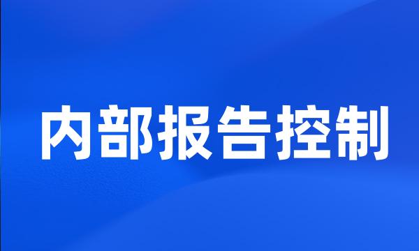 内部报告控制