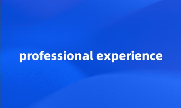 professional experience