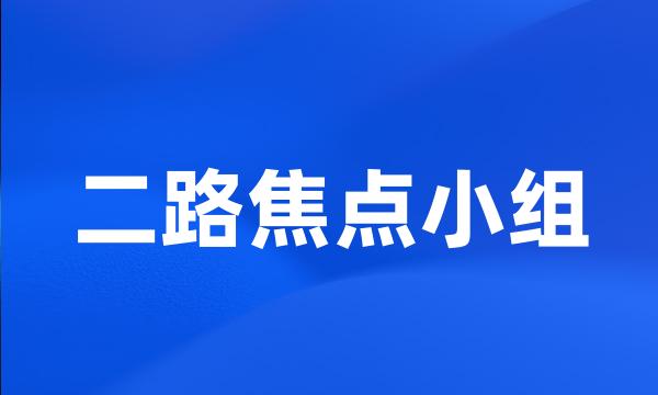 二路焦点小组