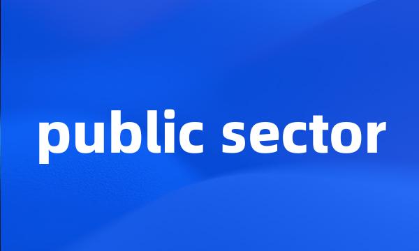 public sector