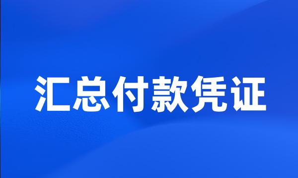 汇总付款凭证