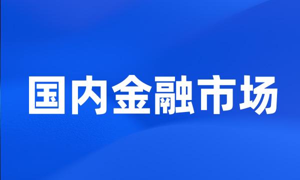 国内金融市场