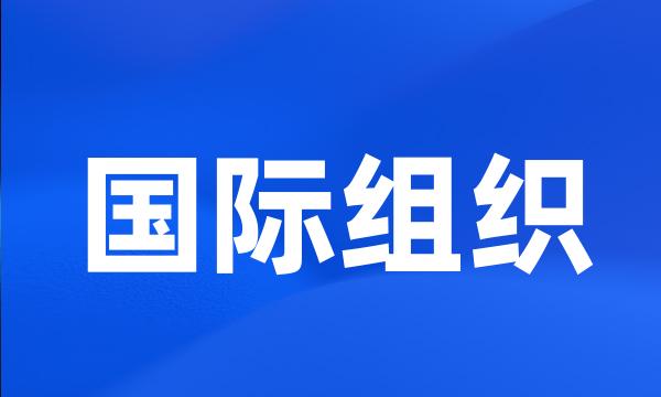 国际组织