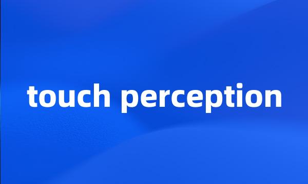 touch perception