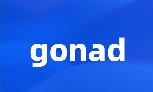 gonad