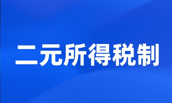 二元所得税制