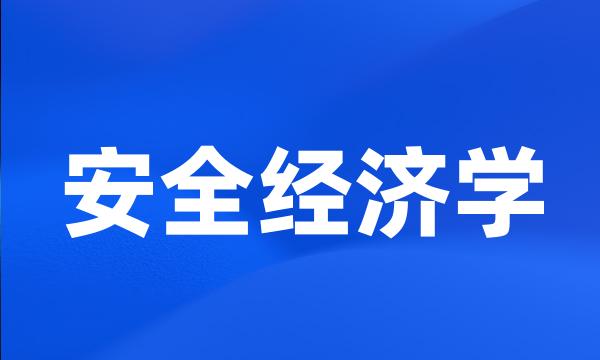 安全经济学