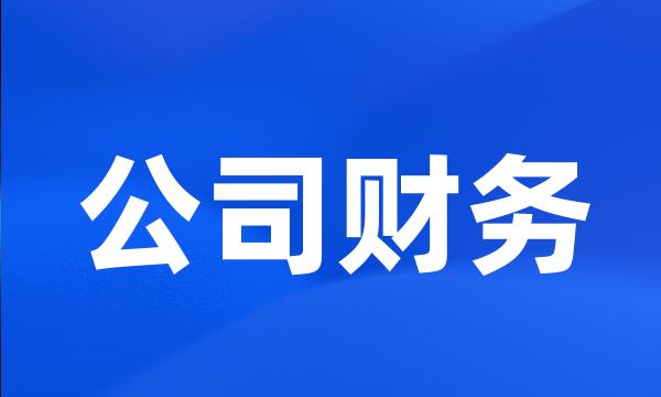 公司财务